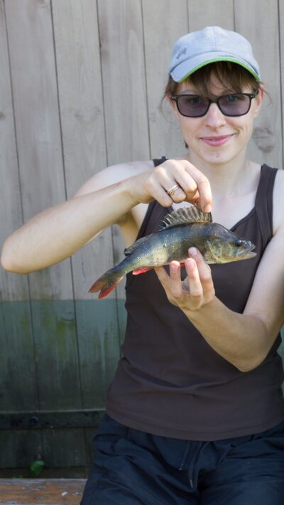 Eurasian perch, 0.2 kg — Vyžintas