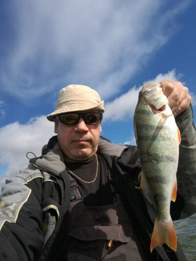 Eurasian perch, 0.7 kg — Kuršių