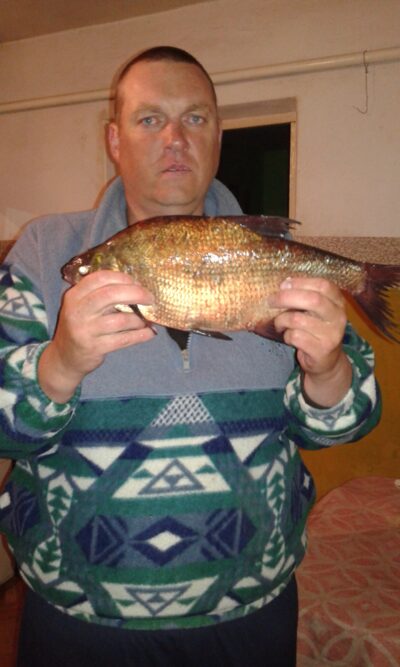 Carp bream, 1.2 kg