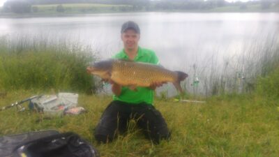 Mirror carp, 15.4 kg