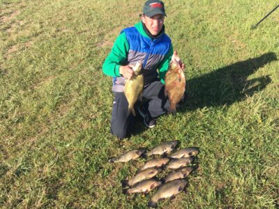 Tench ×9