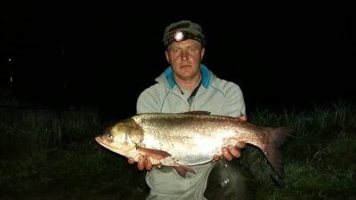 Silver carp, 5.3 kg