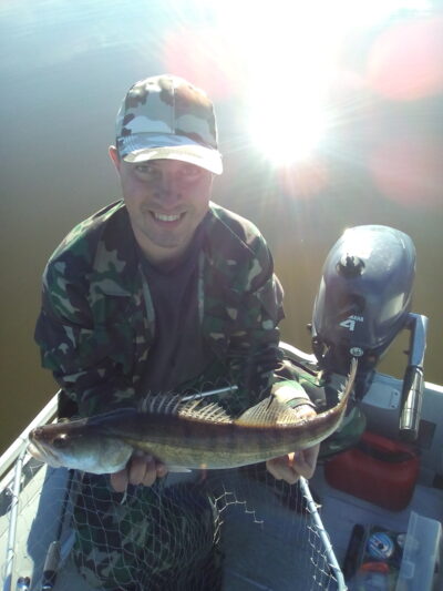 Pike perch, 1.7 kg — Dysnai