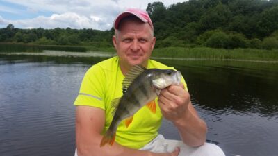 Eurasian perch, 0.4 kg — Angirių
