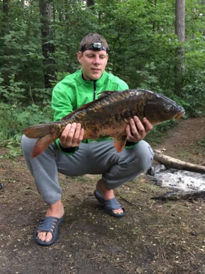 Mirror carp ×2
