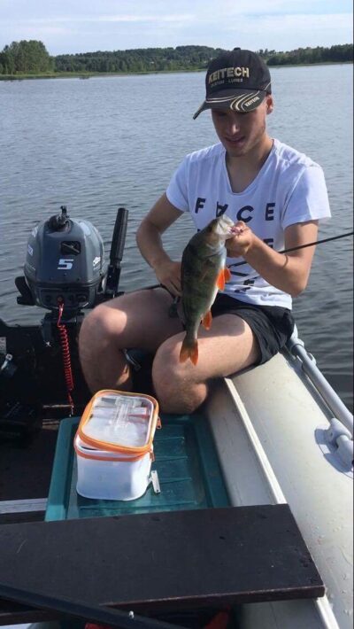 Eurasian perch, 0.8 kg