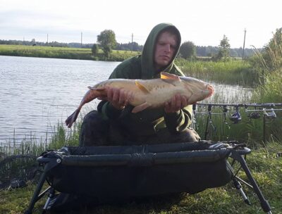 Carp, 13.1 kg