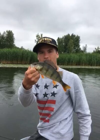 Eurasian perch, 0.4 kg