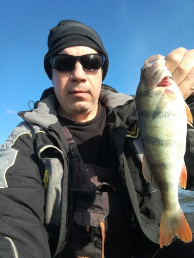 Eurasian perch, 0.6 kg — Kuršių
