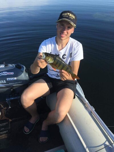Eurasian perch, 0.7 kg