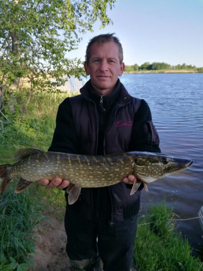 Northern Pike, 2.4 kg