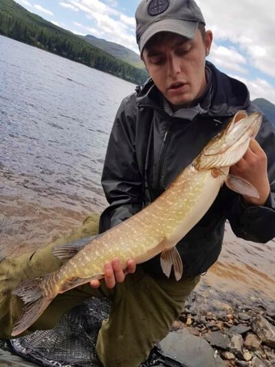 Northern Pike, 3.3 kg