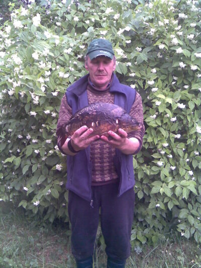 Carp