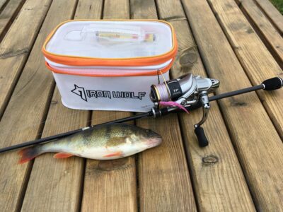 Eurasian perch, 0.3 kg