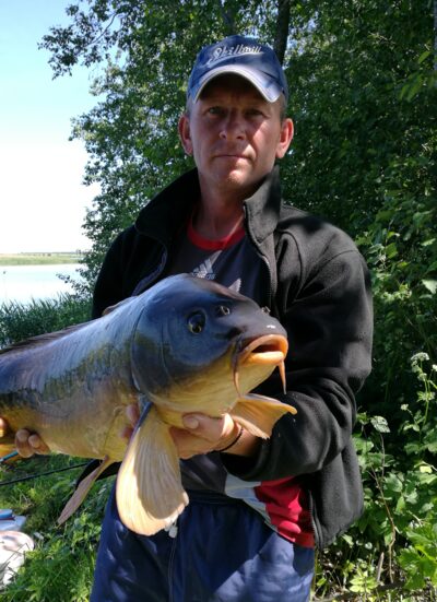 Mirror carp, 7.3 kg