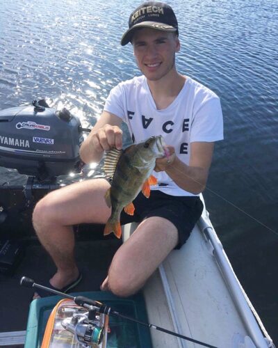 Eurasian perch