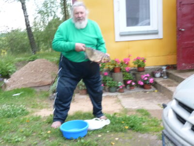 Carp bream