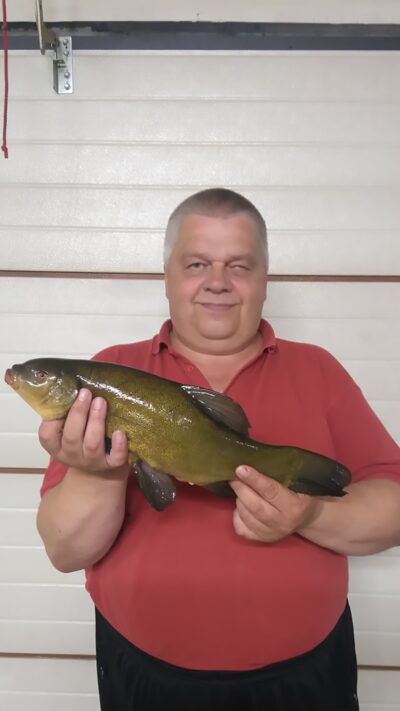 Tench, 1.2 kg