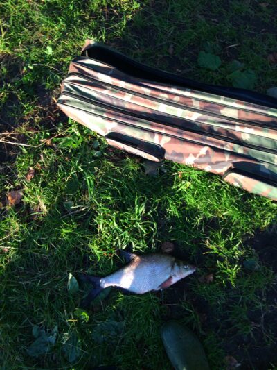 Carp bream, 0.6 kg — Rubikių