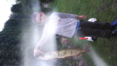 Northern Pike, 1.7 kg