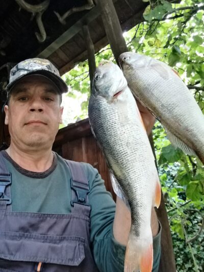 Eurasian perch, 0.6 kg — Kuršių