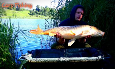 Carp, 14.2 kg