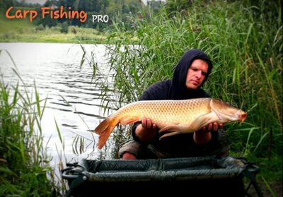 Carp, 11.9 kg