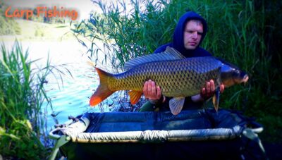 Carp, 14.2 kg