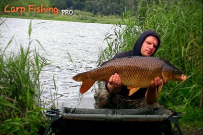 Carp, 14.4 kg