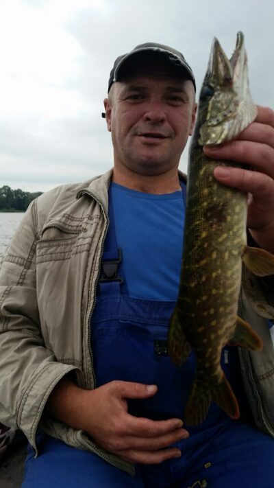 Northern Pike — Svėdasas