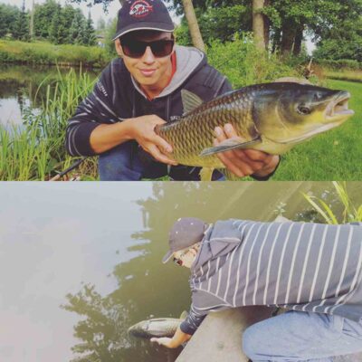 Grass carp
