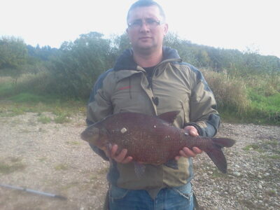 Carp bream, 3.2 kg