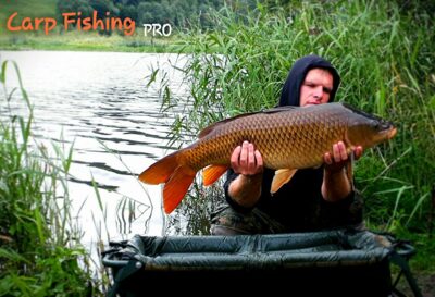 Carp, 11.9 kg