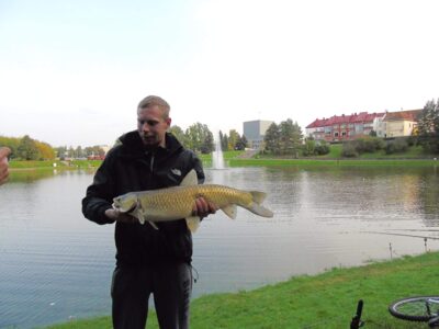 Black carp, 4.8 kg