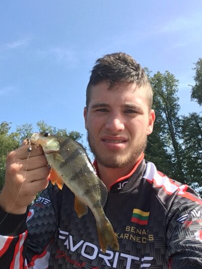 Eurasian perch