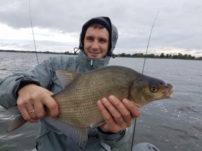 Carp bream