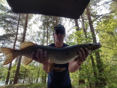 Northern Pike