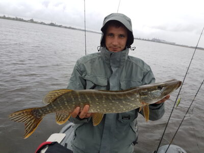 Northern Pike