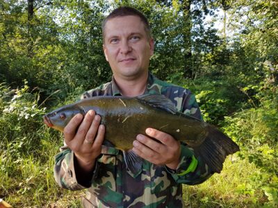 Tench, 1.6 kg