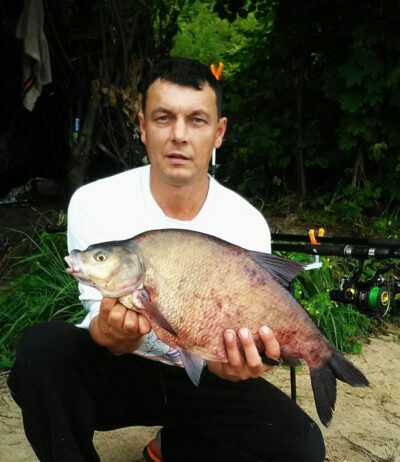 Carp bream, 3.1 kg