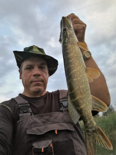 Northern Pike, 1.5 kg — Klaipėdos