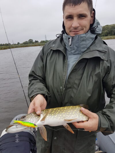 Northern Pike