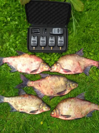 Carp bream ×5 — Kaunas reservoir