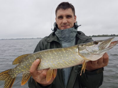 Northern Pike
