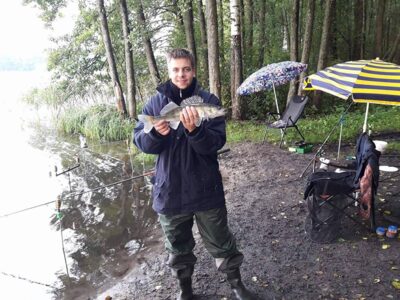 Pike perch, 0.9 kg