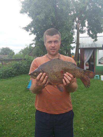 Sidabrinis karosas, 2.9 kg — Krivilių