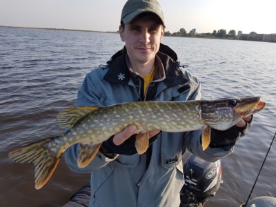 Northern Pike