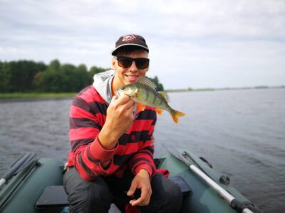 Eurasian perch