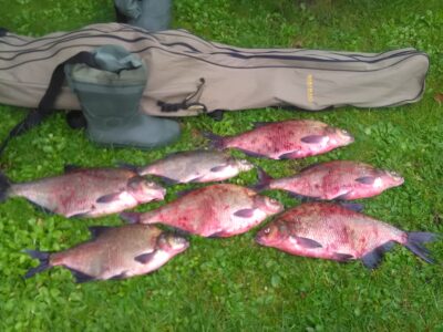 Carp bream ×7 — Kaunas reservoir