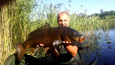 Carp